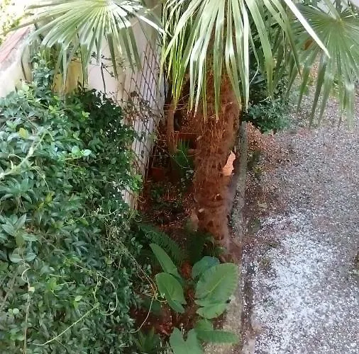 Apartament Ninnananna